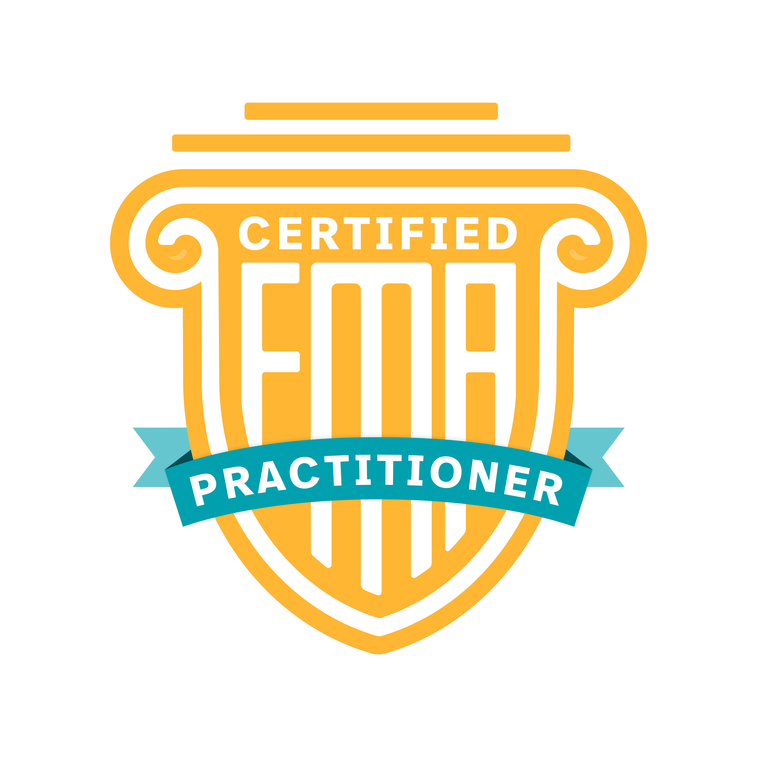 Functional Medicine Academy Certified Practitioner certification shield awarded to Chelsey Wendling